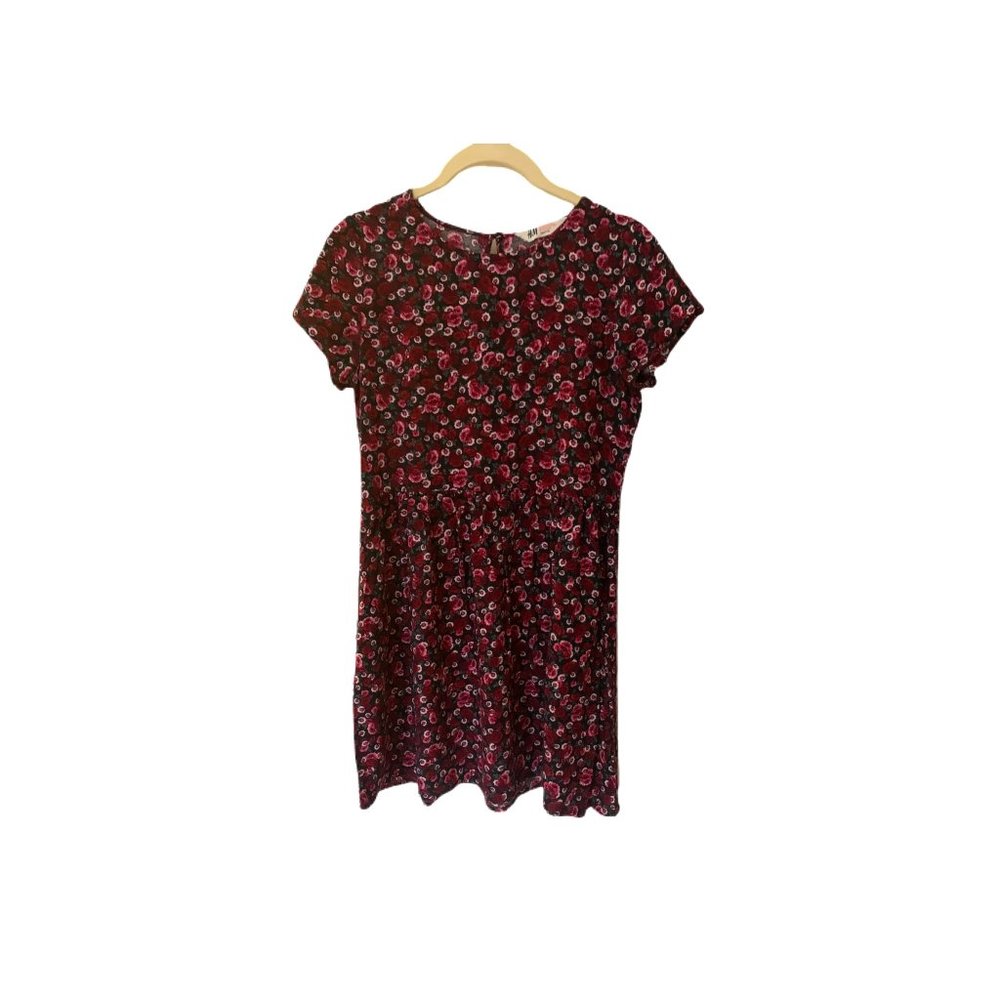H&M Red Floral Skater Dress